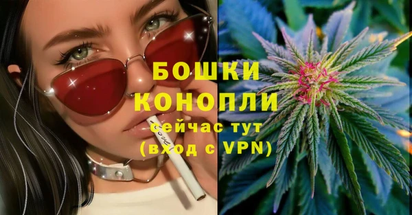 прущая мука Няндома