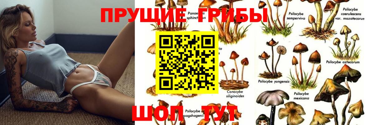 Псилоцибиновые грибы Cubensis  Вход с VPN  даркнет сайт  Нефтеюганск  Псилоцибиновые грибы Cubensis 